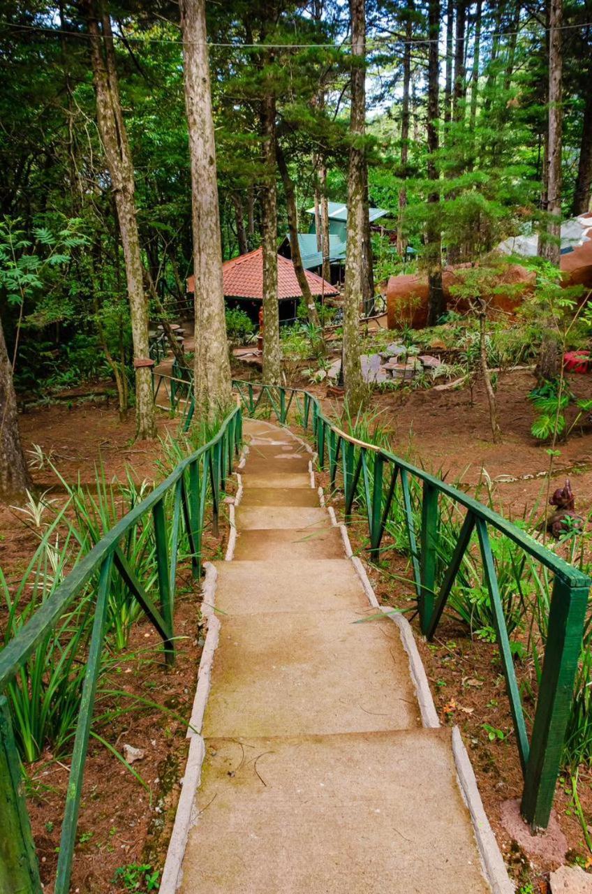 Lunas Del Poas Chalet Bajos del Tigre